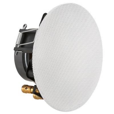 01553 In-Ceiling Speaker